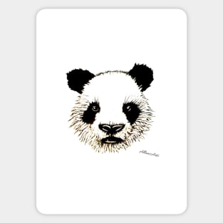 The great & wonderful Panda by 'AllansArts' Sticker